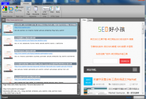 Seolize 2.52 – 英文SEO站内分析优化工具及视频教程