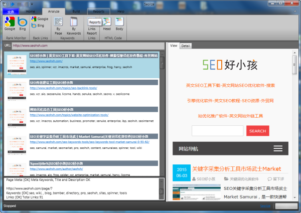 Seolize 2.52 – 英文SEO站内分析优化工具及视频教程 - 第1张  | SEO破解工具